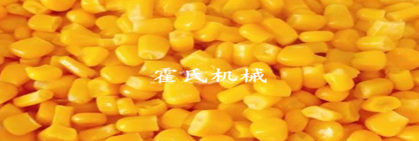 焯煮、油炸設(shè)備